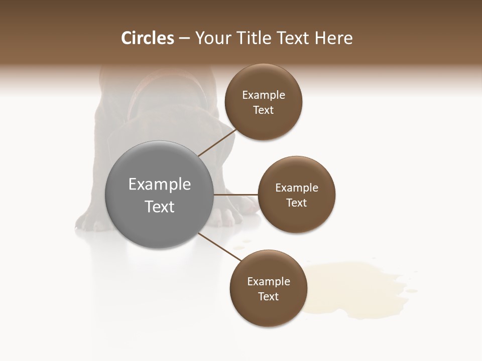 Isolated Potty Pet PowerPoint Template