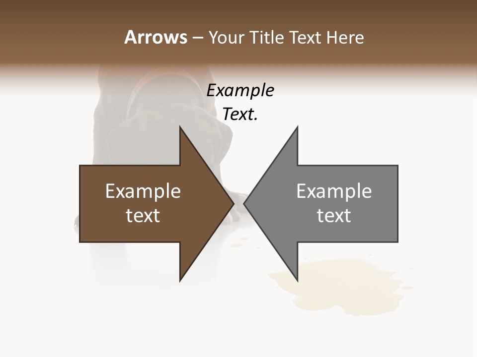 Isolated Potty Pet PowerPoint Template