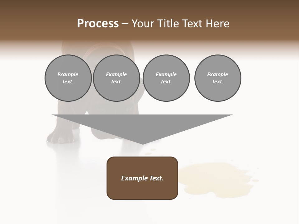 Isolated Potty Pet PowerPoint Template