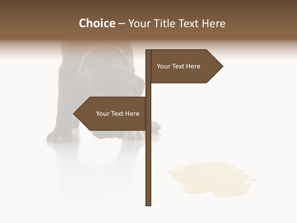 Isolated Potty Pet PowerPoint Template