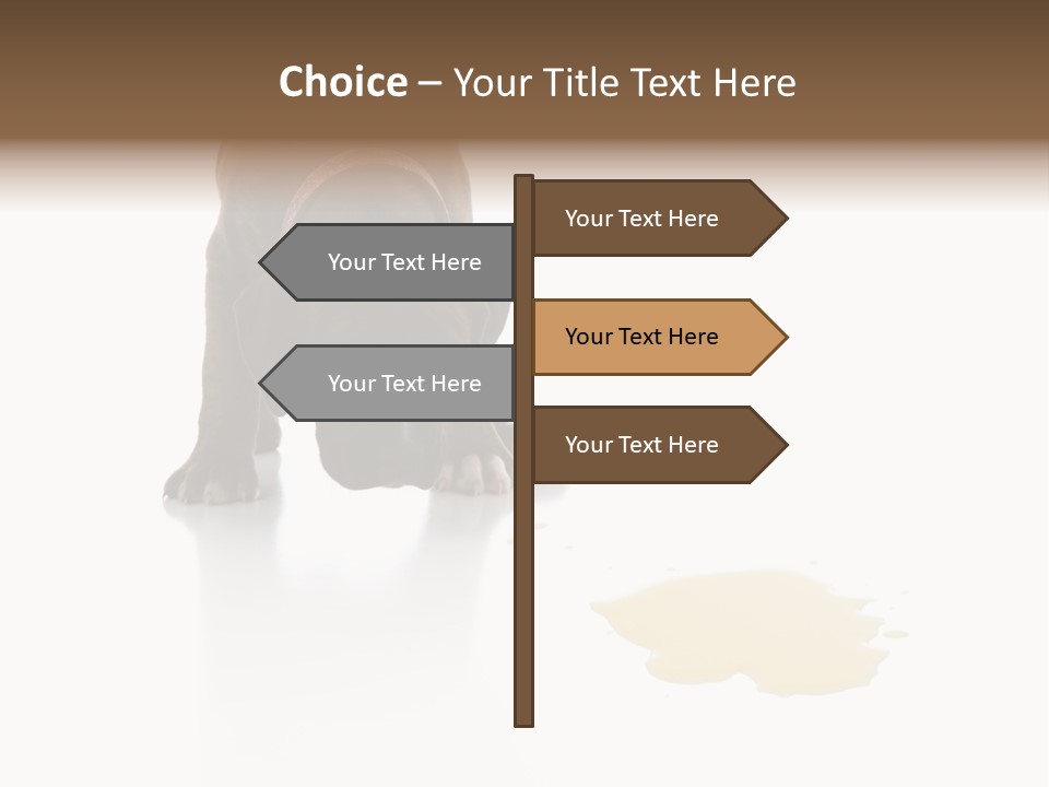 Isolated Potty Pet PowerPoint Template