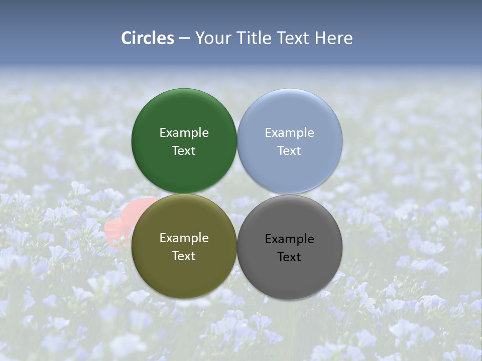 Cereal Flax Focus PowerPoint Template