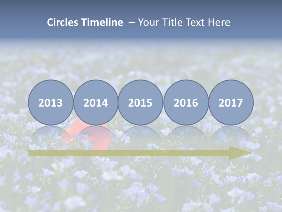 Cereal Flax Focus PowerPoint Template