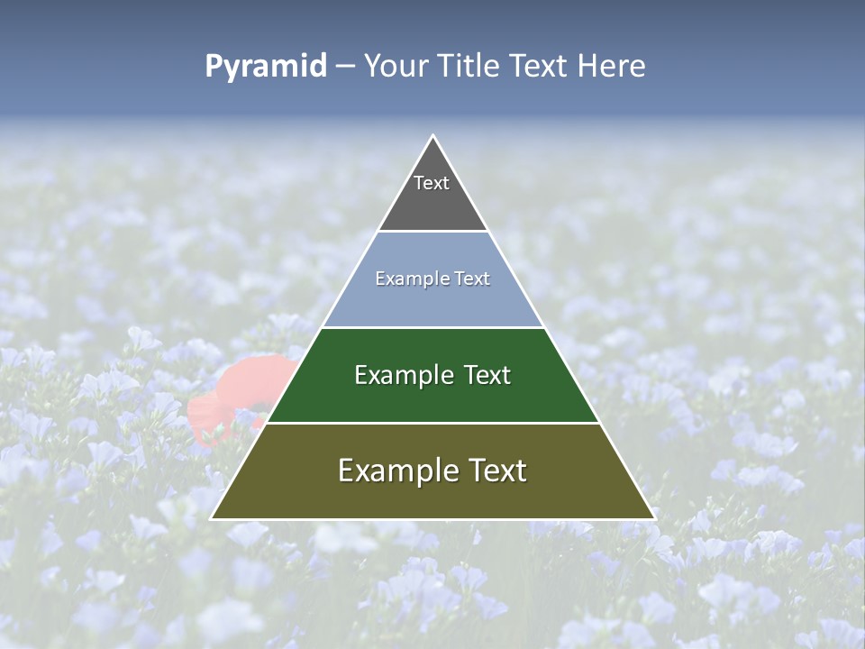 Cereal Flax Focus PowerPoint Template