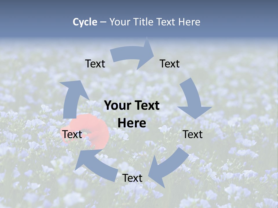 Cereal Flax Focus PowerPoint Template