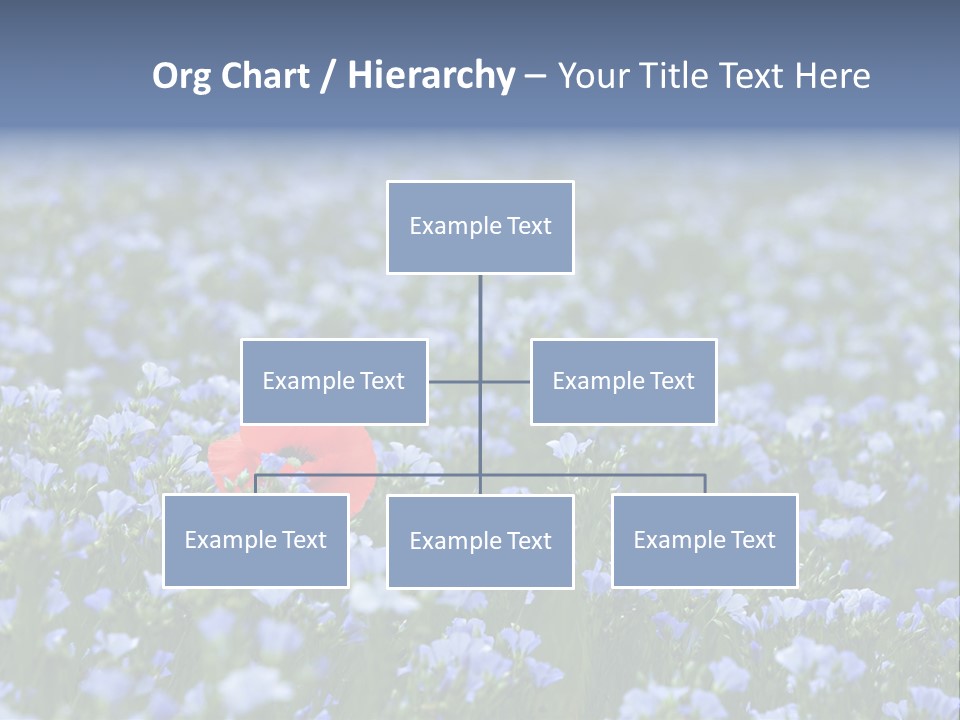 Cereal Flax Focus PowerPoint Template