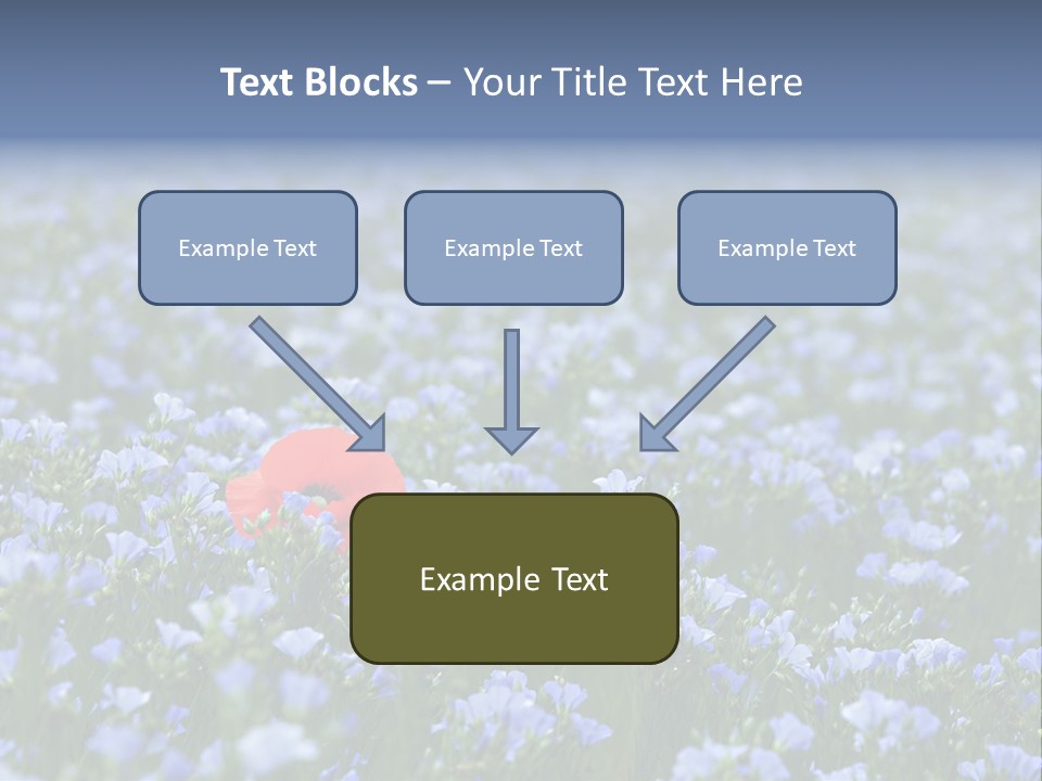 Cereal Flax Focus PowerPoint Template