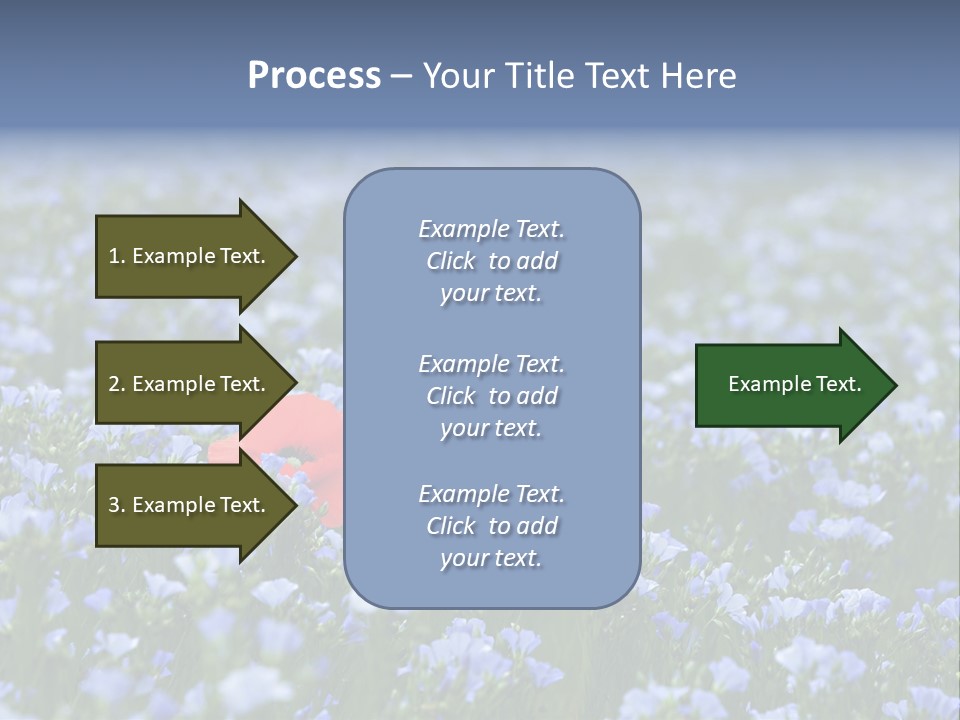 Cereal Flax Focus PowerPoint Template