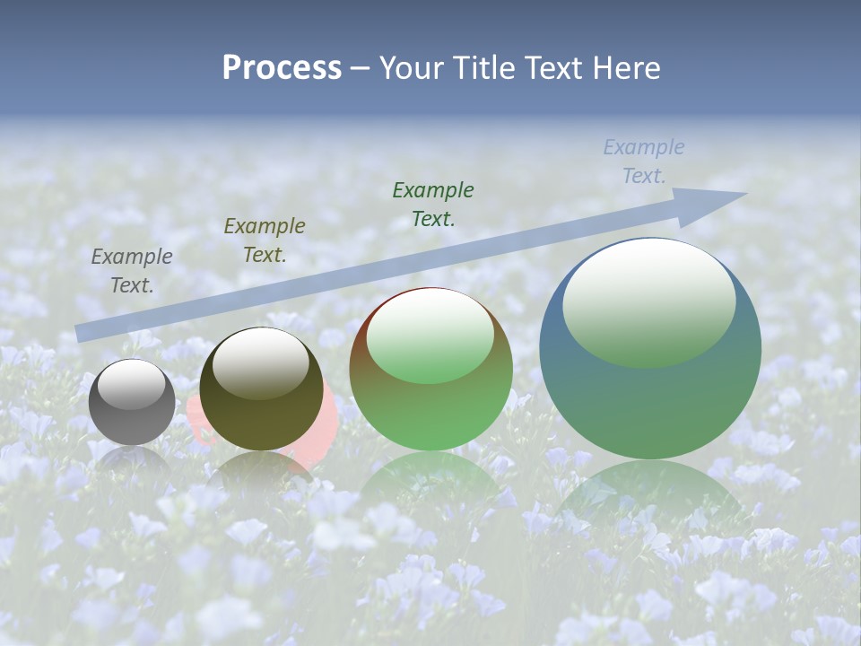 Cereal Flax Focus PowerPoint Template