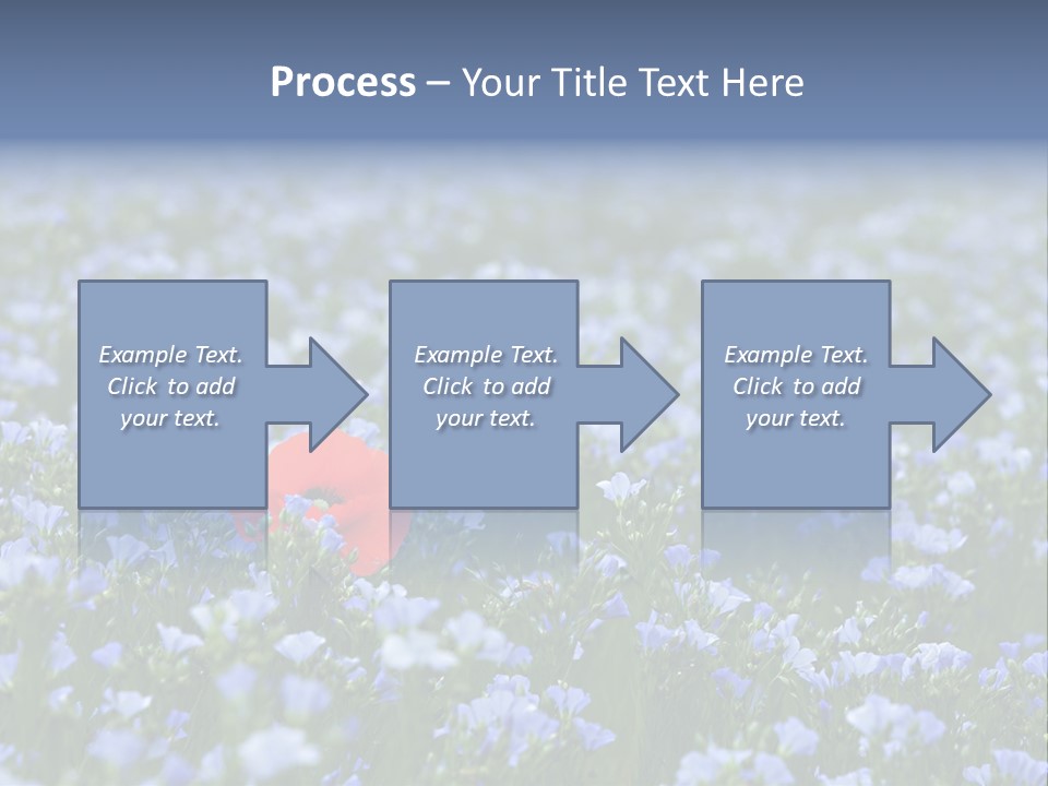 Cereal Flax Focus PowerPoint Template