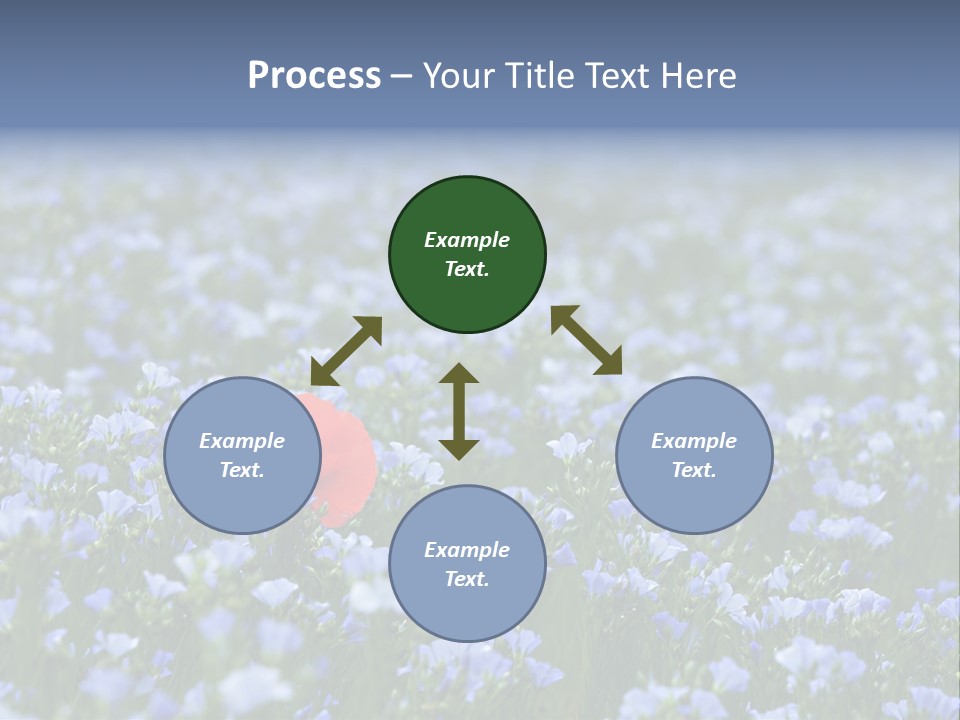 Cereal Flax Focus PowerPoint Template