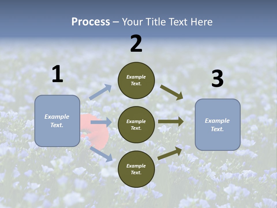 Cereal Flax Focus PowerPoint Template