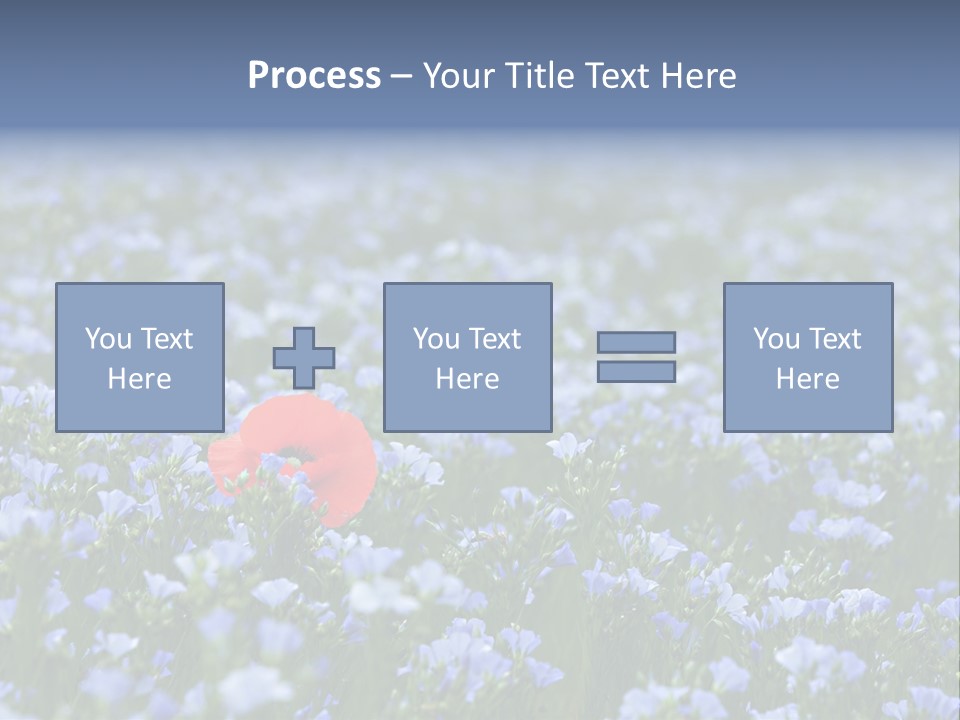 Cereal Flax Focus PowerPoint Template