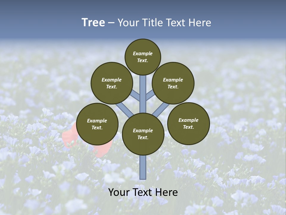 Cereal Flax Focus PowerPoint Template