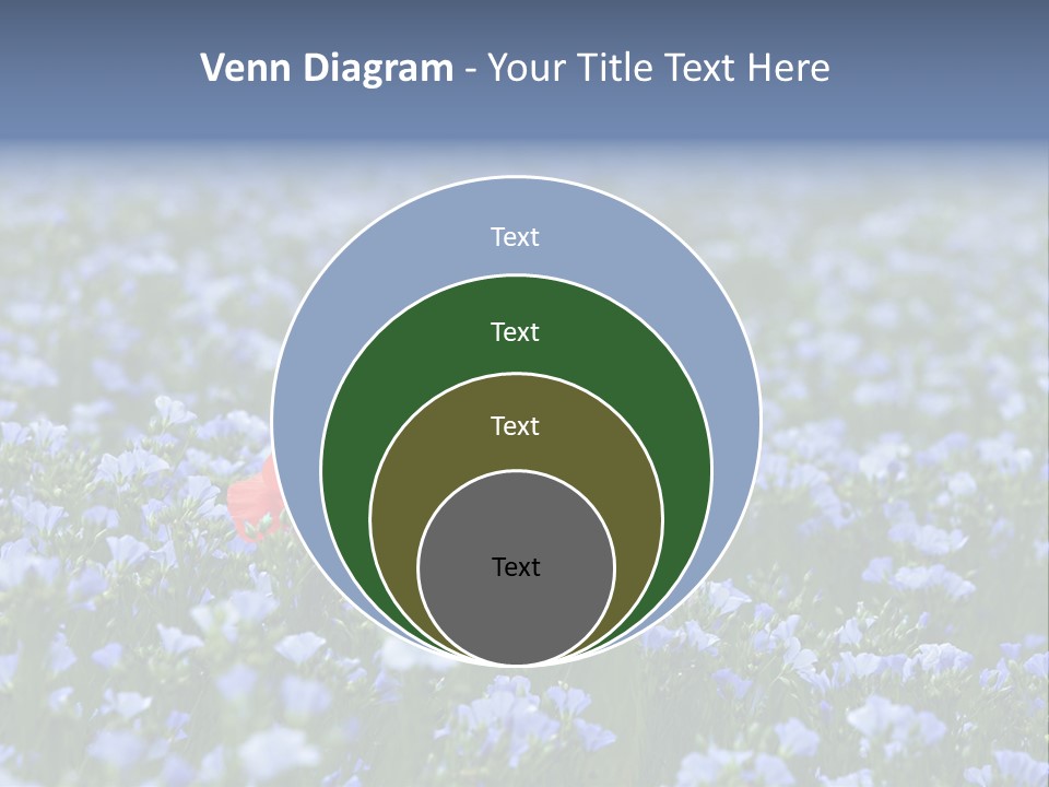 Cereal Flax Focus PowerPoint Template