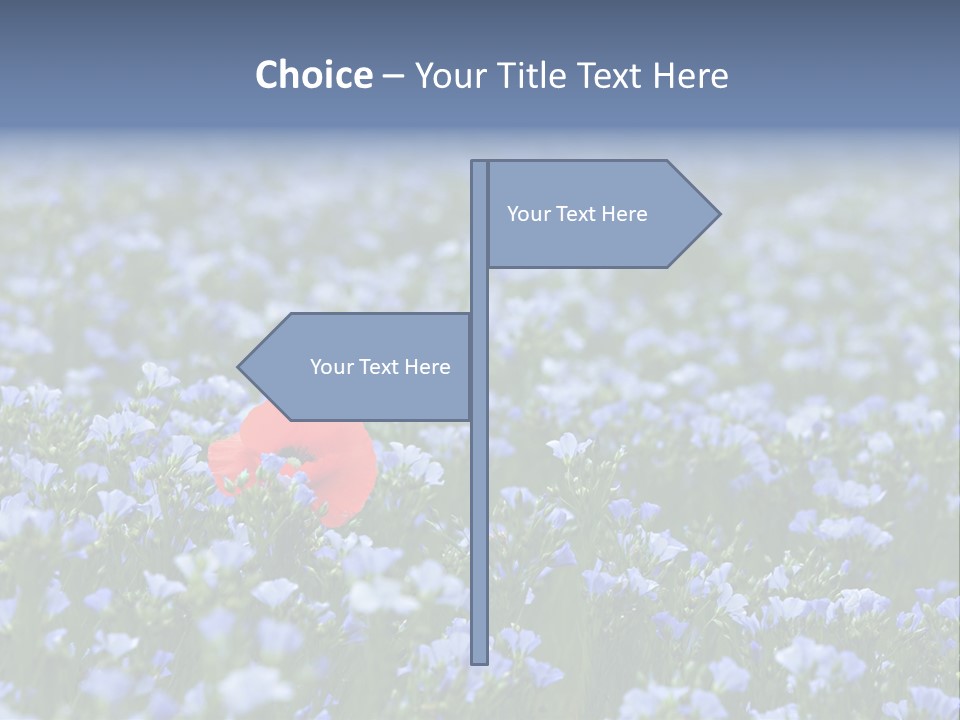 Cereal Flax Focus PowerPoint Template