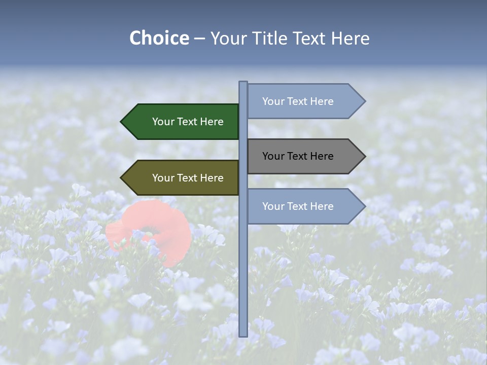 Cereal Flax Focus PowerPoint Template