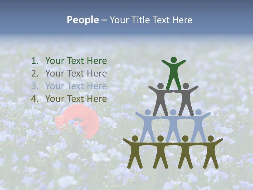 Cereal Flax Focus PowerPoint Template