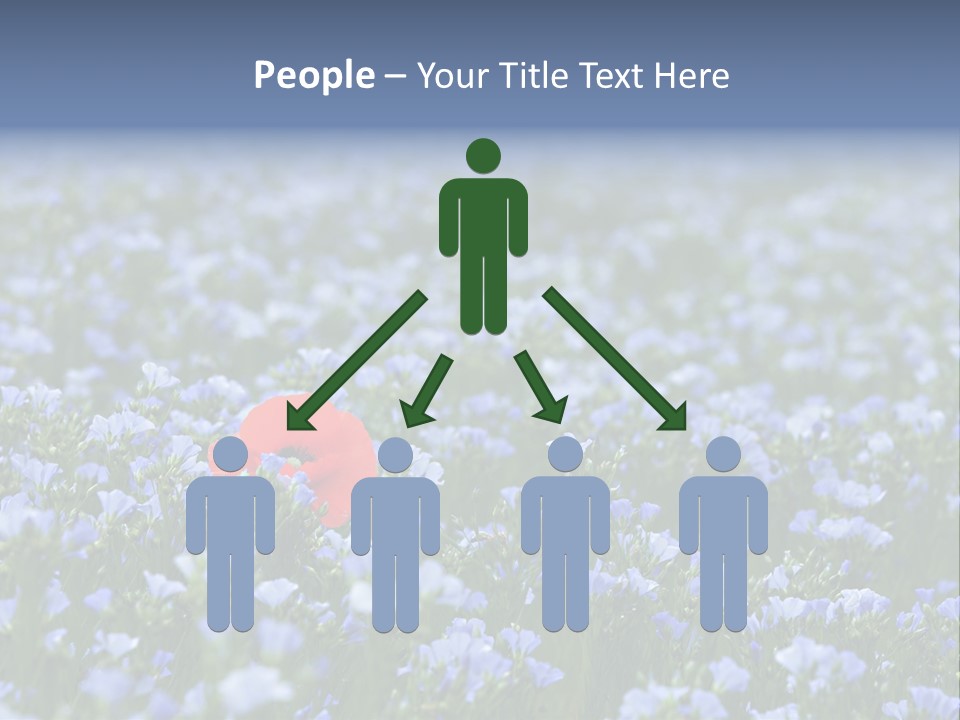 Cereal Flax Focus PowerPoint Template