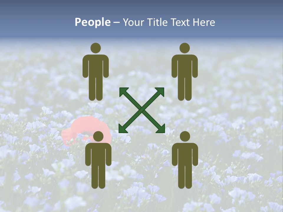 Cereal Flax Focus PowerPoint Template