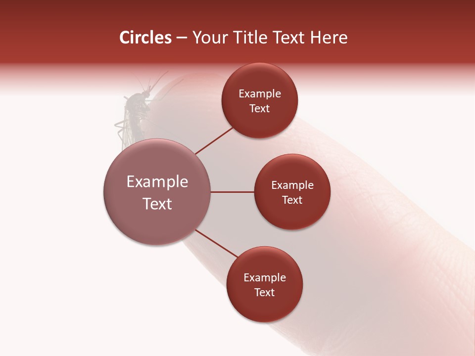 Culex Blood Cutout PowerPoint Template