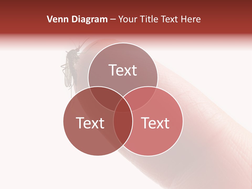 Culex Blood Cutout PowerPoint Template