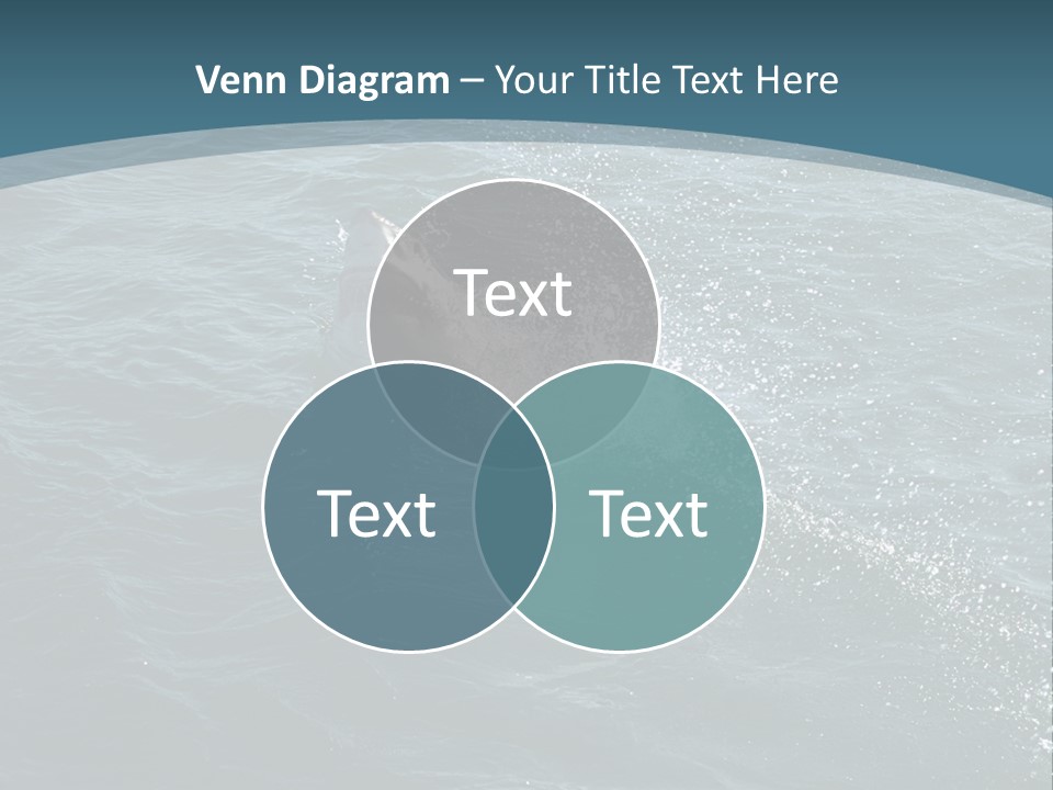 Kill Killer Africa PowerPoint Template