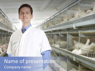 Factory Animal Poultry PowerPoint Template