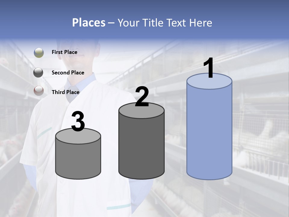 Factory Animal Poultry PowerPoint Template