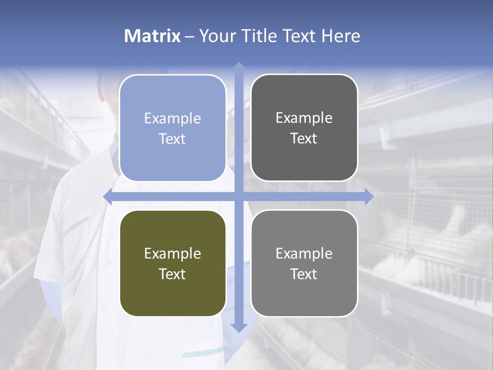 Factory Animal Poultry PowerPoint Template