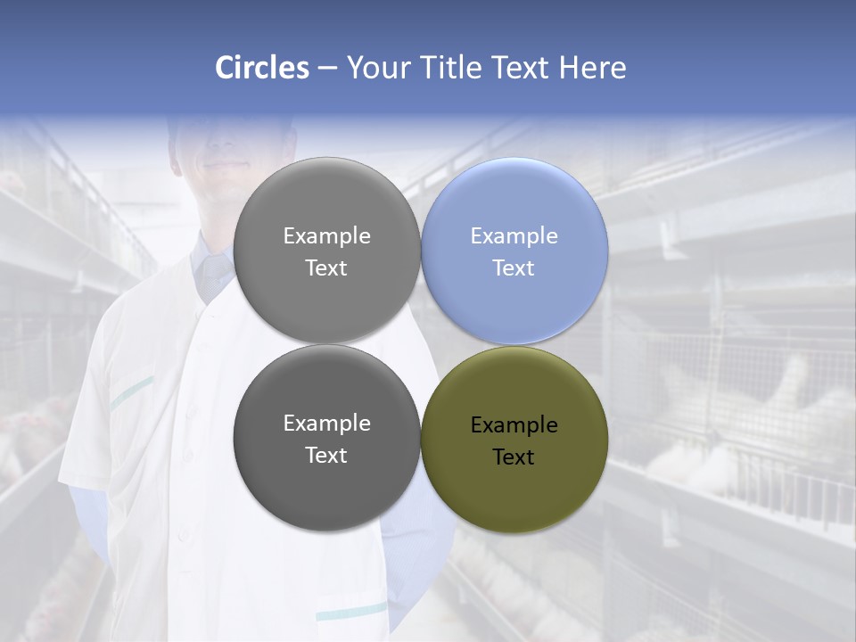 Factory Animal Poultry PowerPoint Template