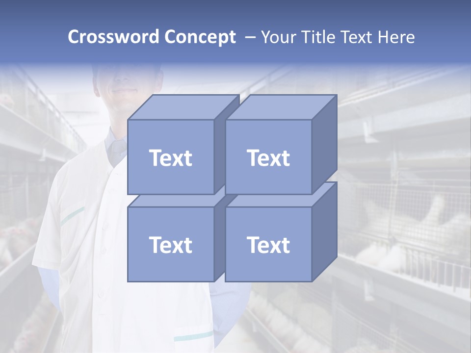 Factory Animal Poultry PowerPoint Template