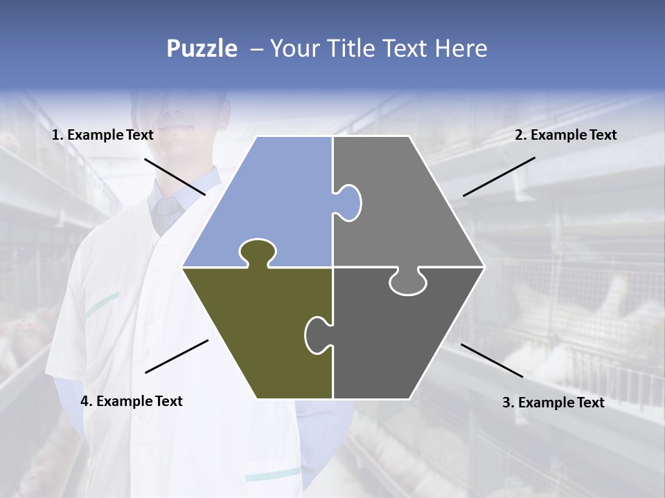 Factory Animal Poultry PowerPoint Template