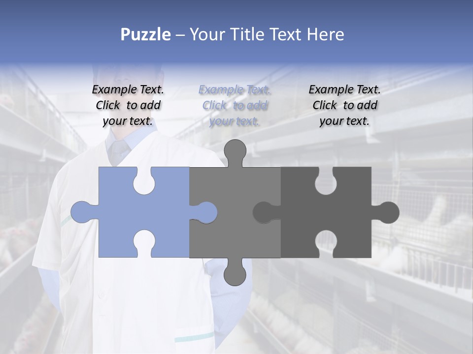 Factory Animal Poultry PowerPoint Template