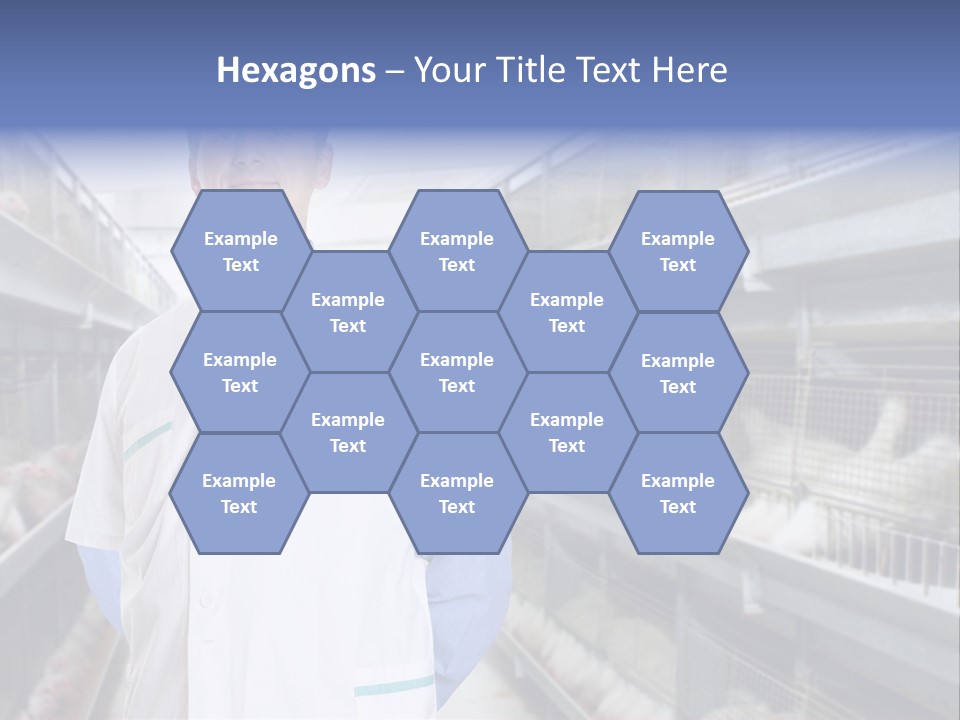 Factory Animal Poultry PowerPoint Template