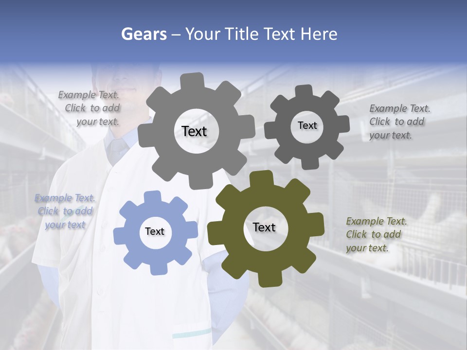 Factory Animal Poultry PowerPoint Template