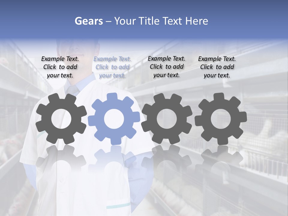 Factory Animal Poultry PowerPoint Template