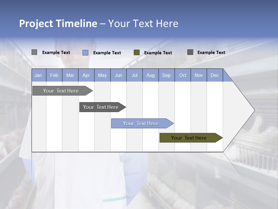Factory Animal Poultry PowerPoint Template