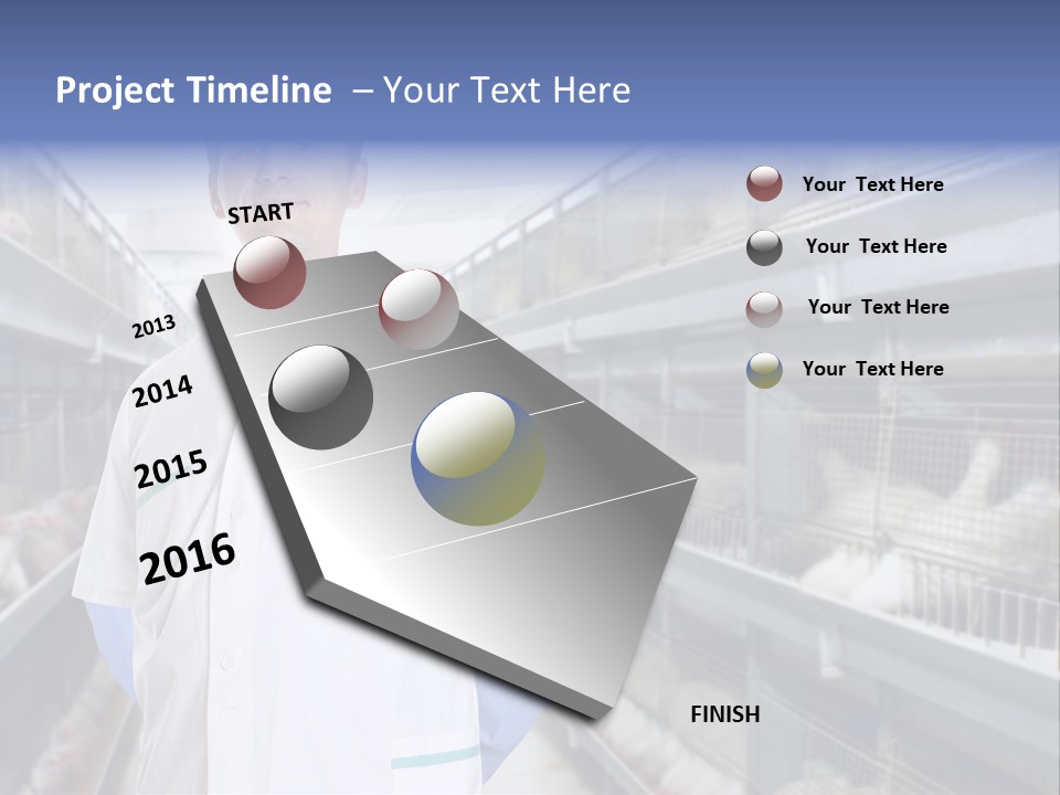 Factory Animal Poultry PowerPoint Template