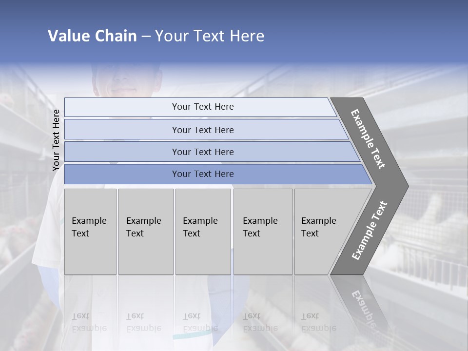 Factory Animal Poultry PowerPoint Template