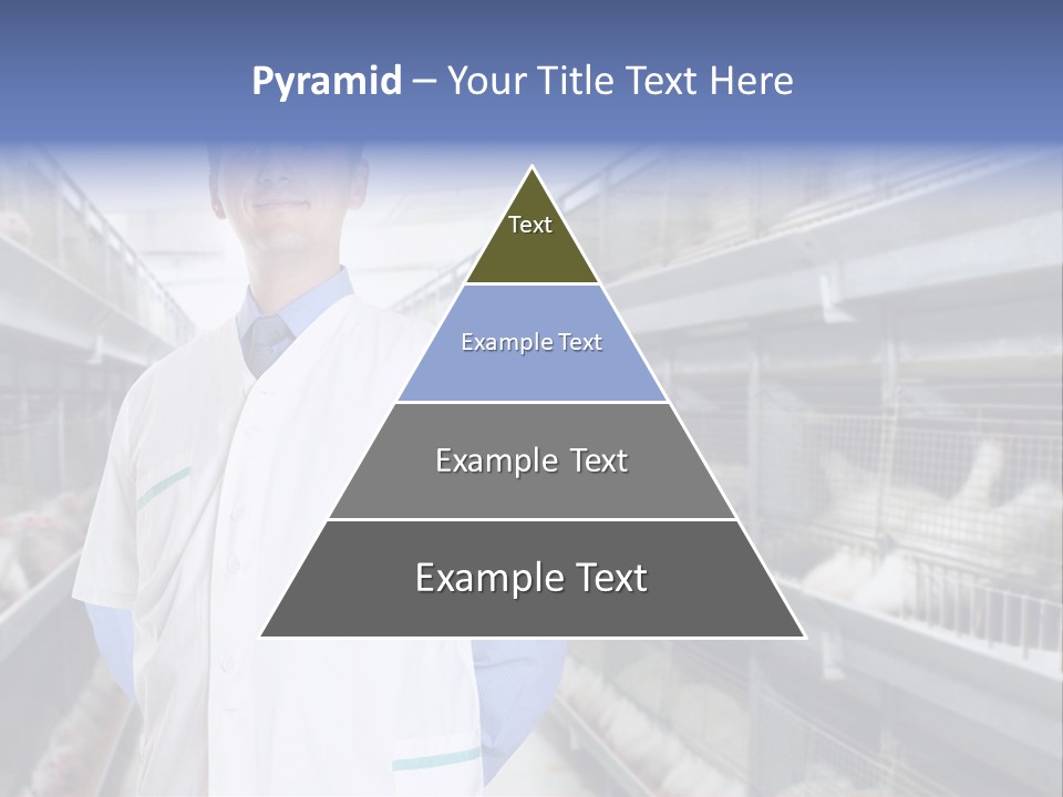 Factory Animal Poultry PowerPoint Template