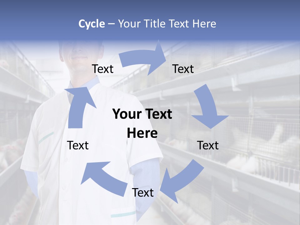 Factory Animal Poultry PowerPoint Template
