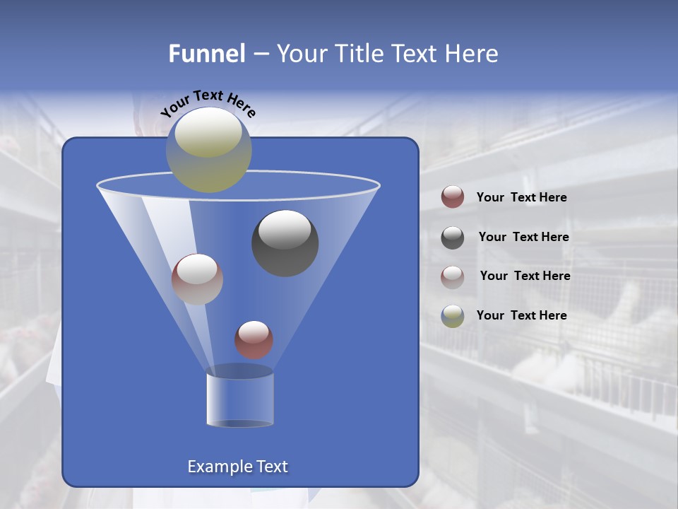 Factory Animal Poultry PowerPoint Template
