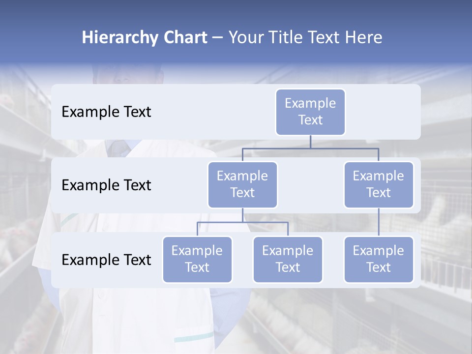 Factory Animal Poultry PowerPoint Template