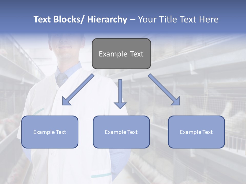 Factory Animal Poultry PowerPoint Template