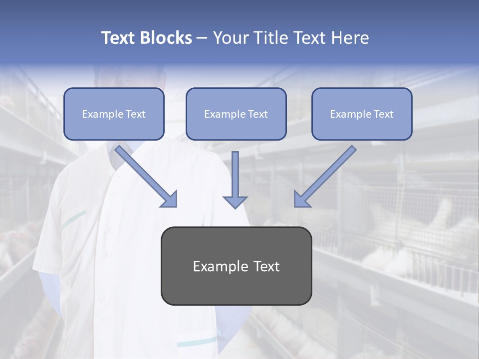 Factory Animal Poultry PowerPoint Template