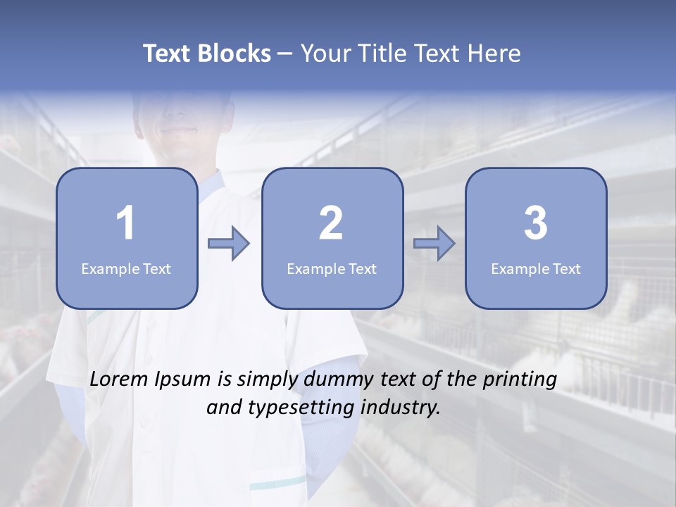 Factory Animal Poultry PowerPoint Template