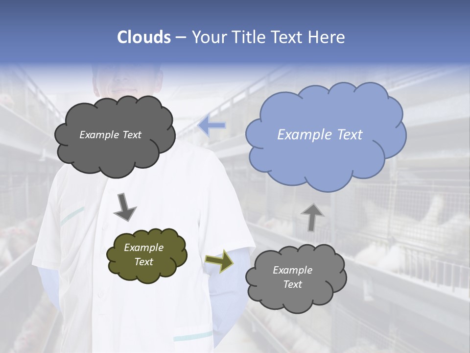 Factory Animal Poultry PowerPoint Template