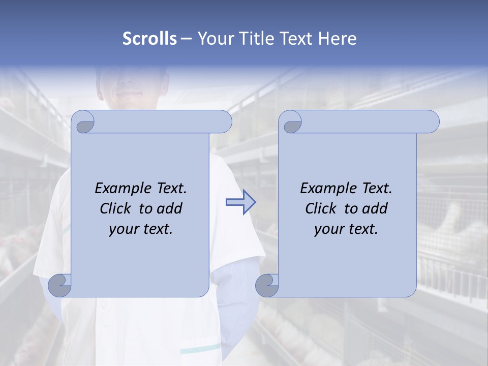 Factory Animal Poultry PowerPoint Template