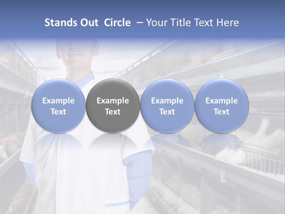 Factory Animal Poultry PowerPoint Template